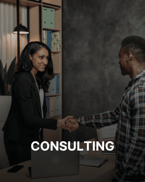 Consulting - Hammer Infotech