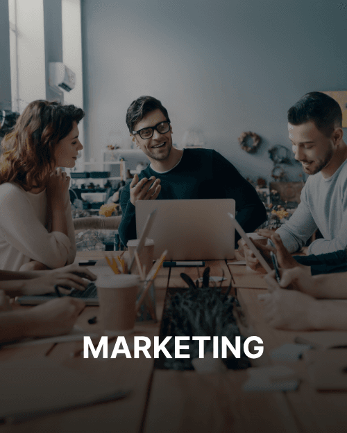 Marketing - Hammer Infotech