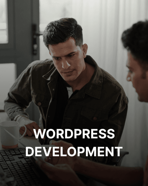 WORDPRESS Development - Hammer Infotech